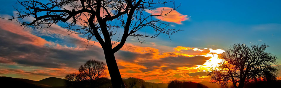 网络短信免费版