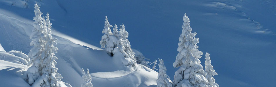 接码短信社区平台