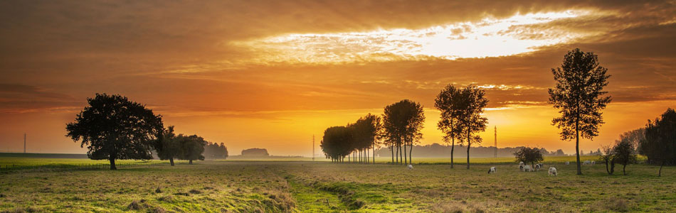 在线短信网页版免费版